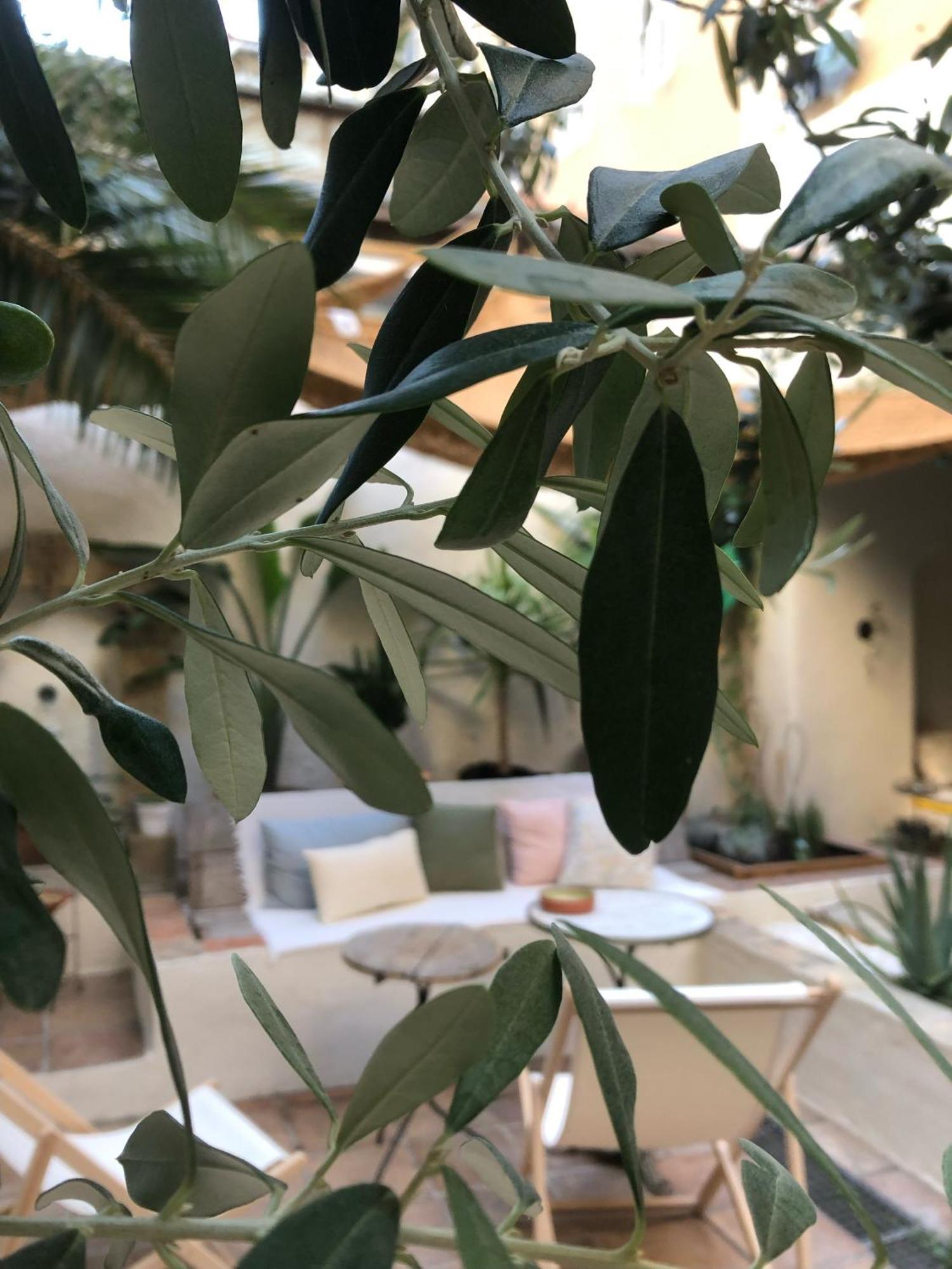 Maison Olea Μασσαλία Εξωτερικό φωτογραφία