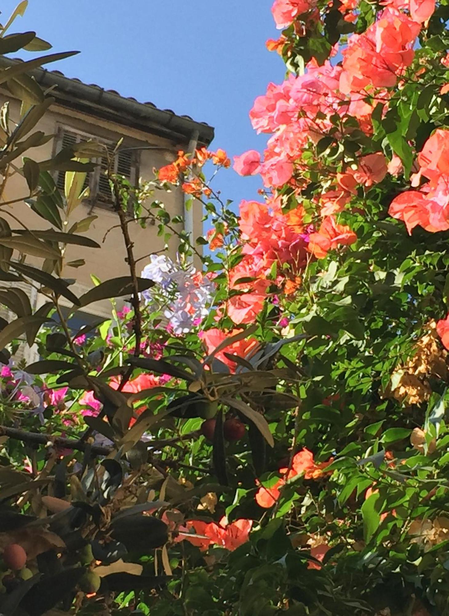 Maison Olea Μασσαλία Εξωτερικό φωτογραφία